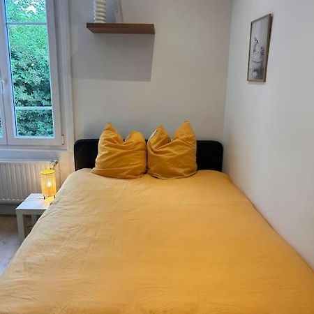 Le Nid Douillet Nanceien Apartment น็องซี ภายนอก รูปภาพ