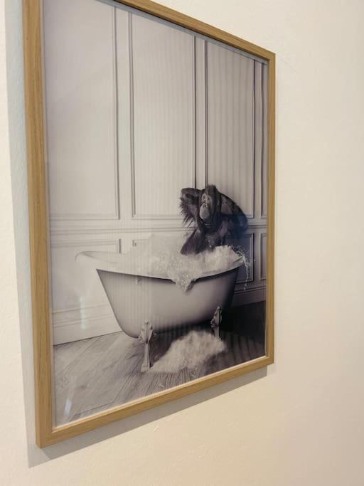 Le Nid Douillet Nanceien Apartment น็องซี ภายนอก รูปภาพ